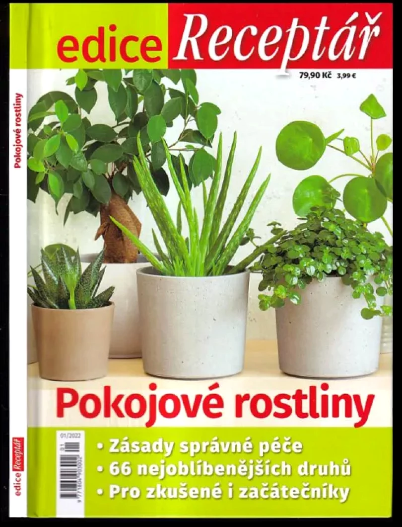 Pokojové rostliny (Jana Bucharová, 2022)