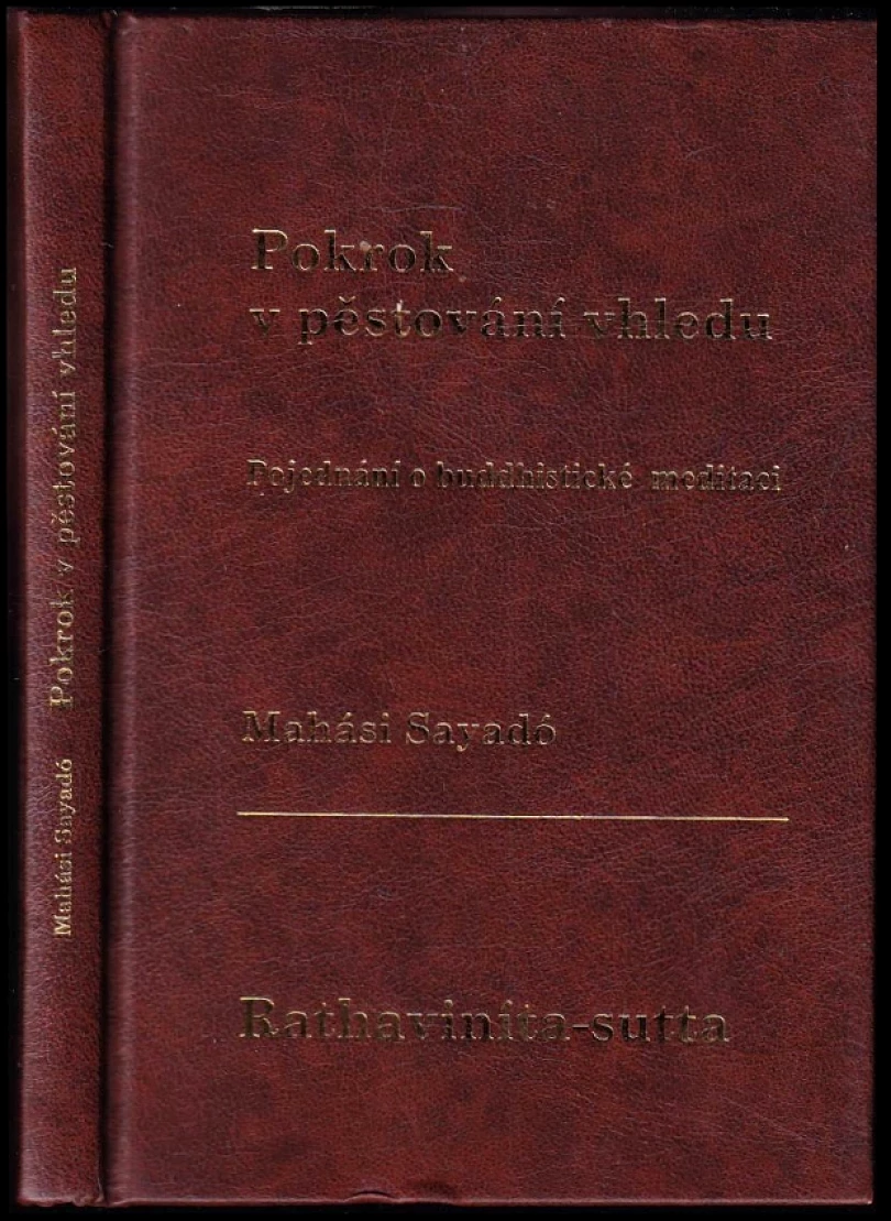 Levně Pokrok v pěstování vhledu (Mahási Sayadó, 1997)