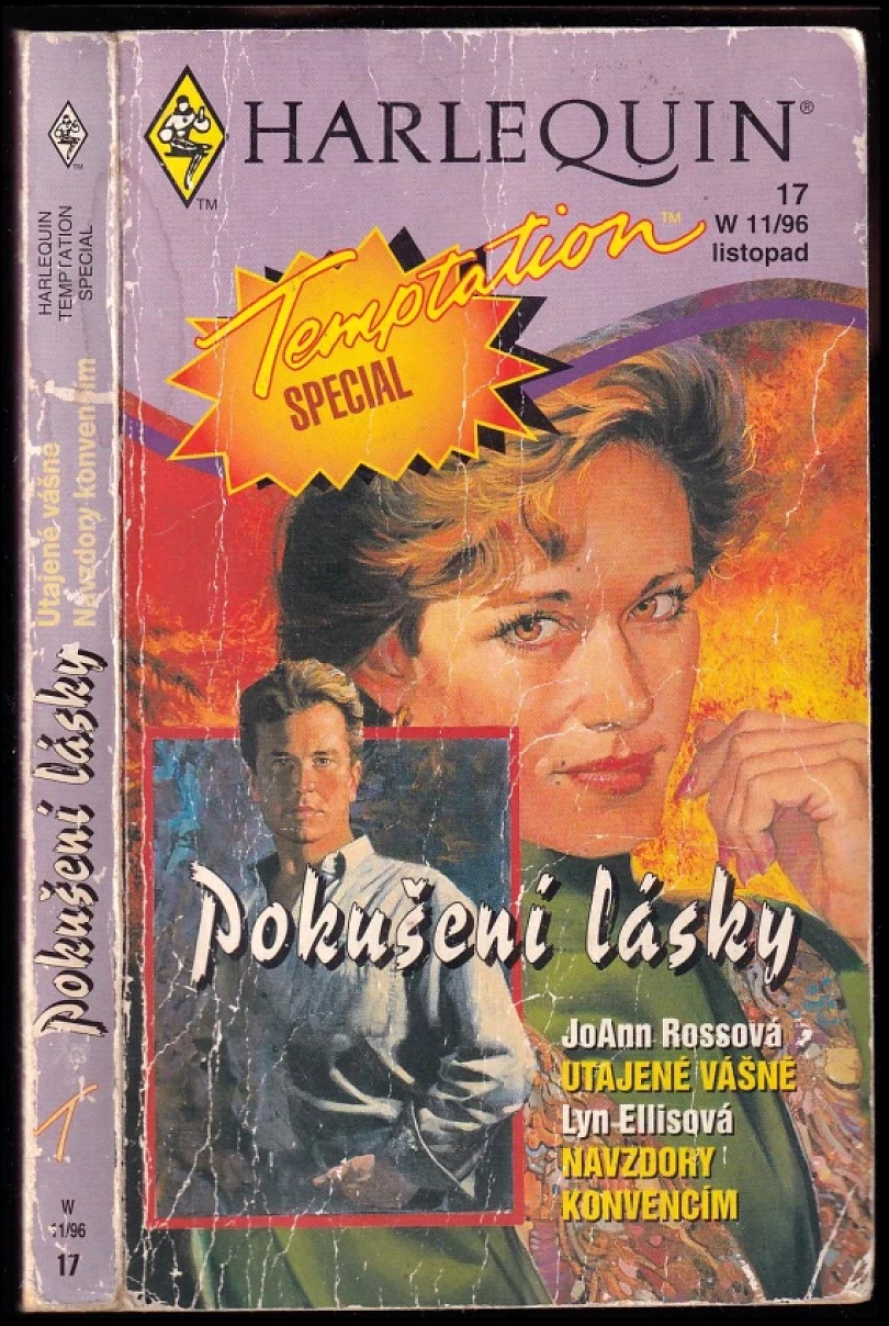 Utajené vášně, Navzdory konvencím (JoAnn Ross, 1996)