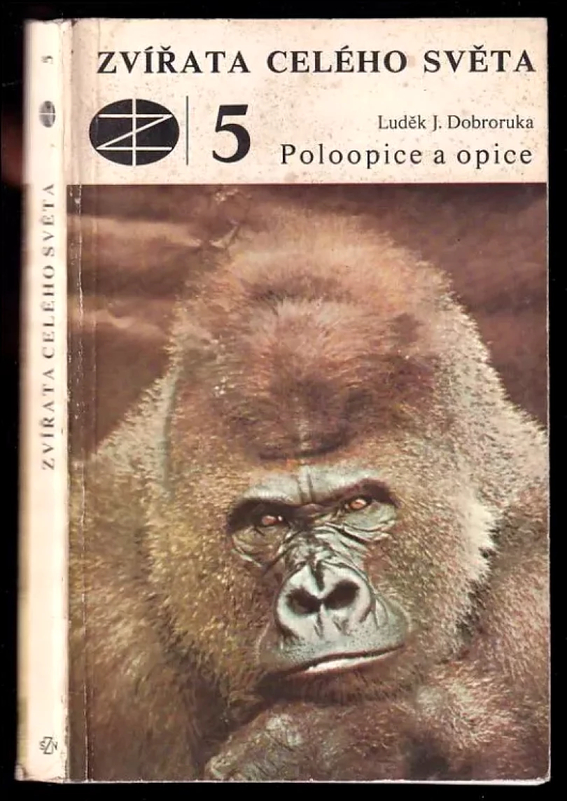 Poloopice a opice (Luděk J Dobroruka, 1983)