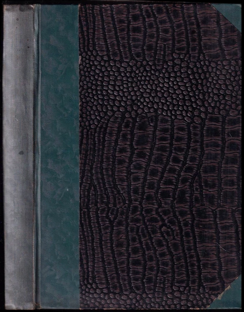 Polsko v boji se Sověty - OBÁLKA ZDENĚK BURIAN (Juliusz Rómmel, 1933)