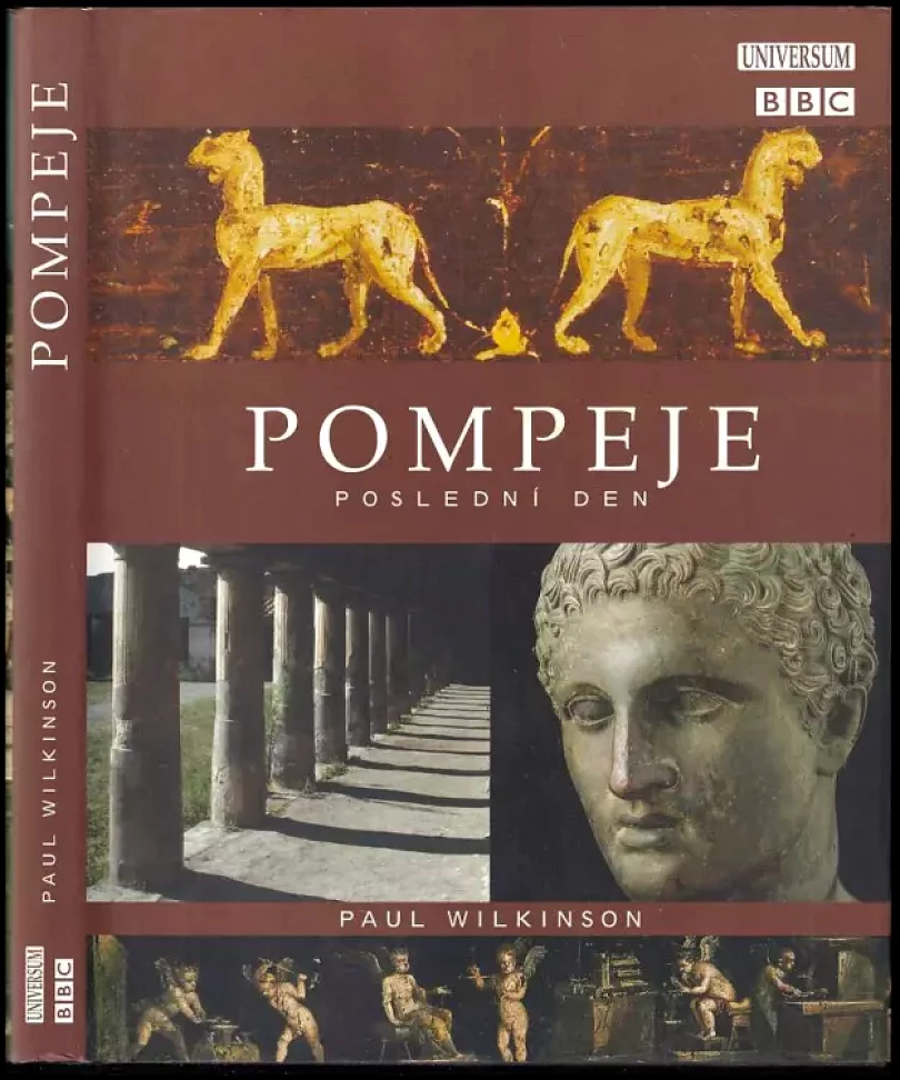 Levně Pompeje (Paul Wilkinson, 2004)