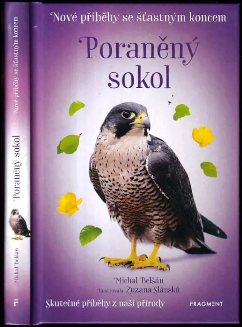 Poraněný sokol (Michal Belšán, 2020)