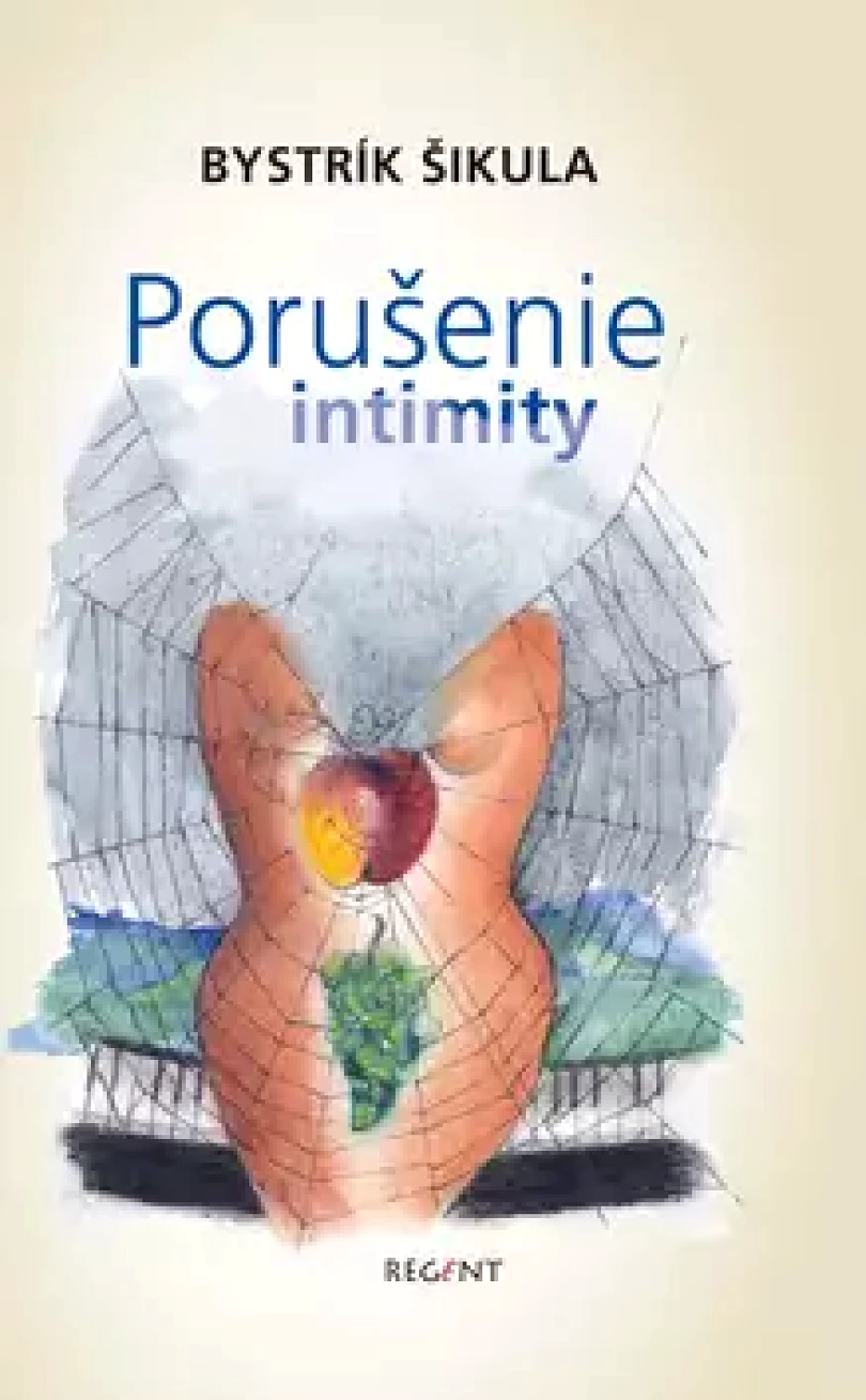 Porušenie intimity (Bystrík Šikula, 2011)