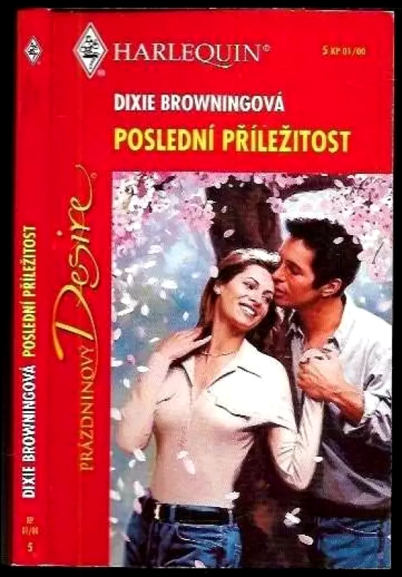 Poslední příležitost (Dixie Browning, 2000)