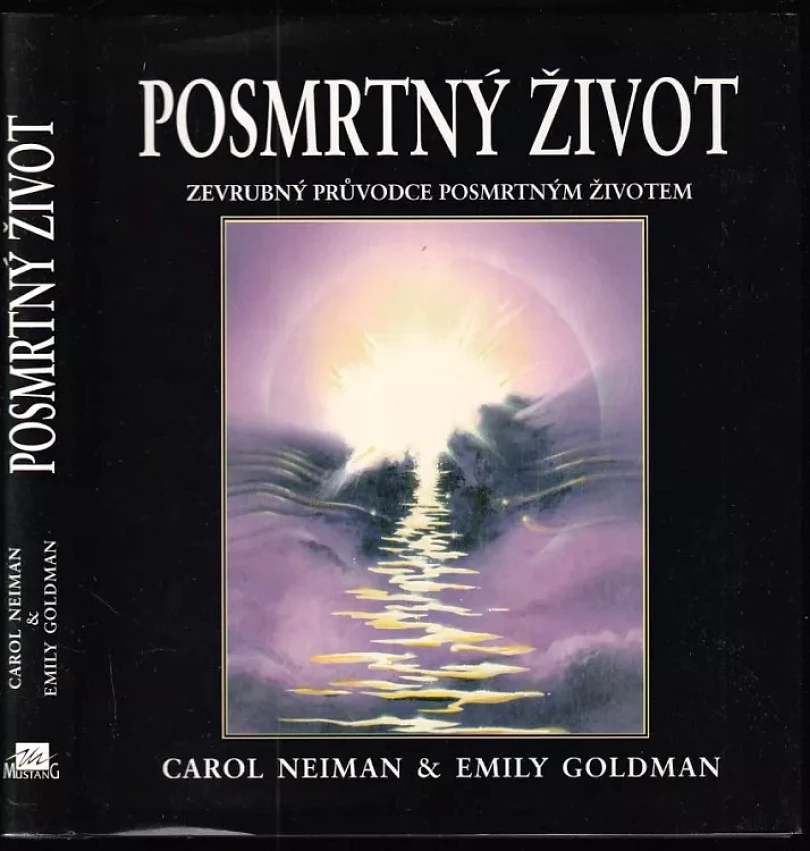 Levně Posmrtný život (Carol Neiman, 1995)