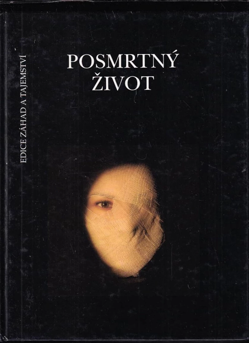 Levně Posmrtný život (Lynn Picknett, 1997)