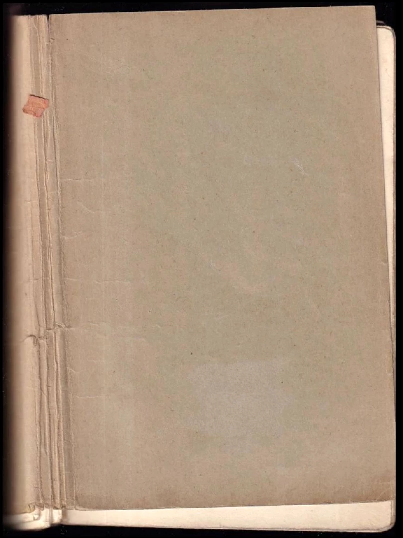 Levně Postrach Chicaga (Edgar Wallace, 1940)