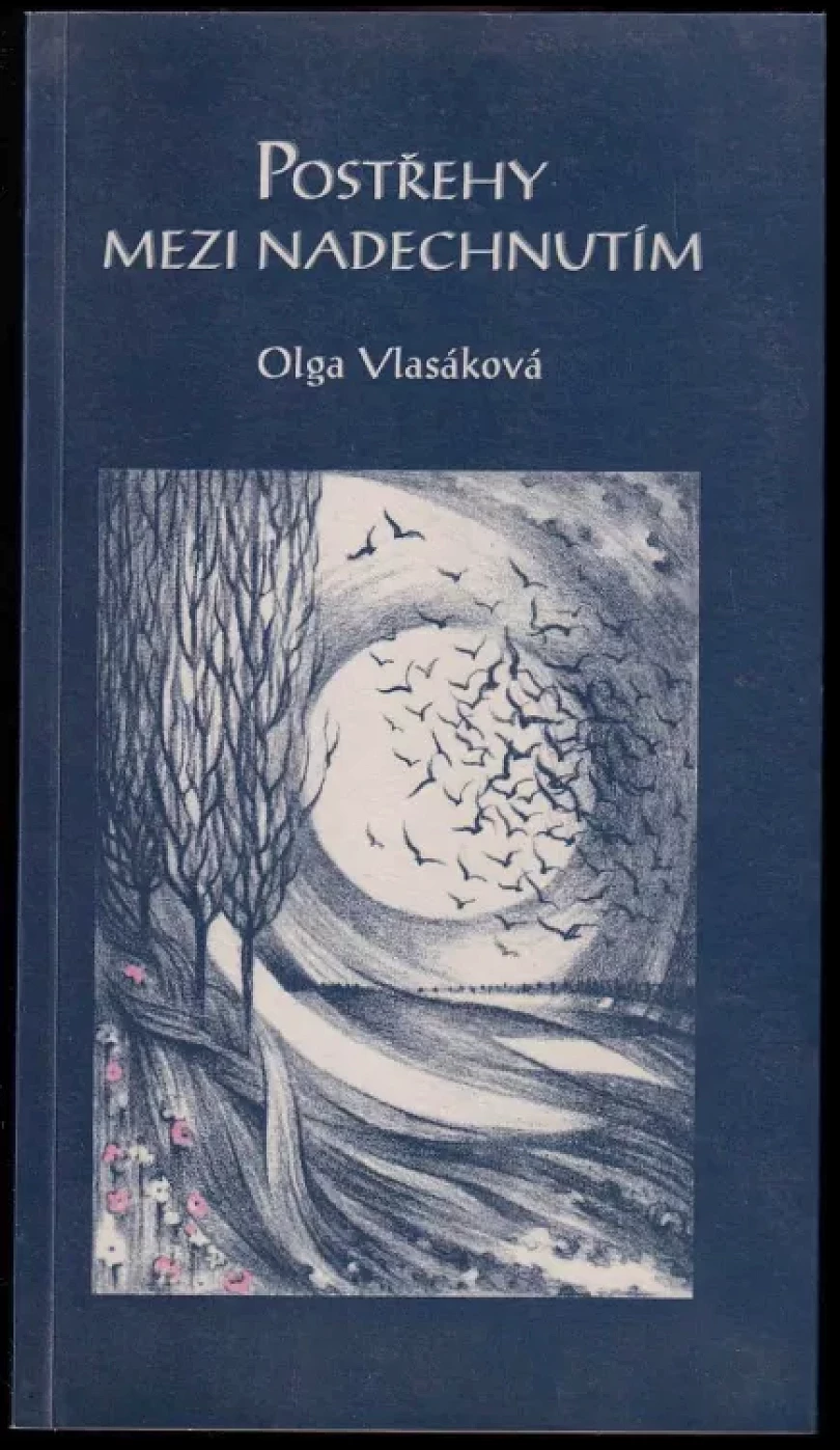 Levně Postřehy mezi nadechnutím PODPIS OLGA VLASÁKOVÁ (Olga Vlasáková, 2001)