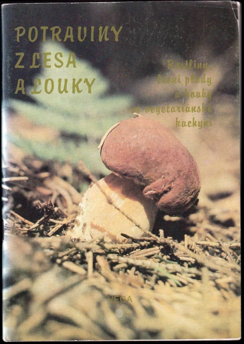 Levně Potraviny z lesa a louky (Stanislav Muntág, 1991)