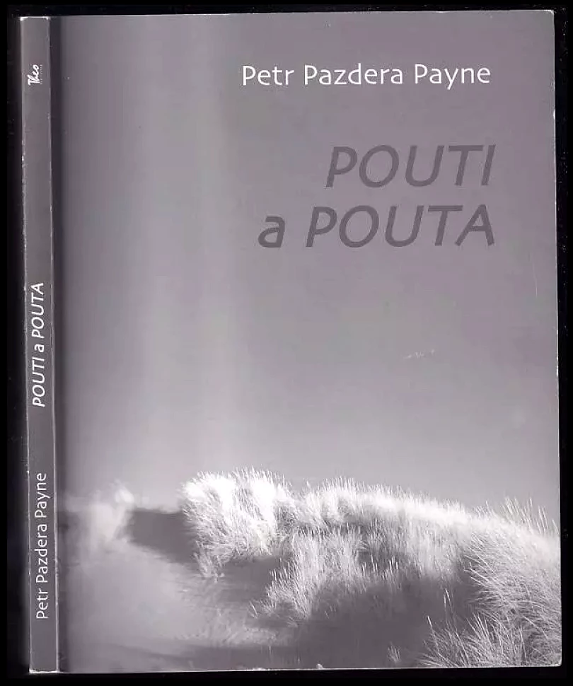 Levně Pouti a pouta (Petr Payne, 2011)