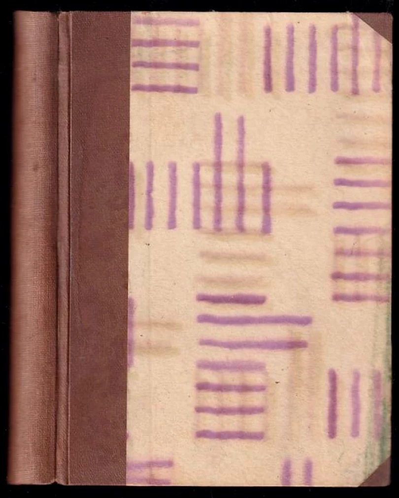 Levně Povídky Ninoně (Émile Zola, 1933)