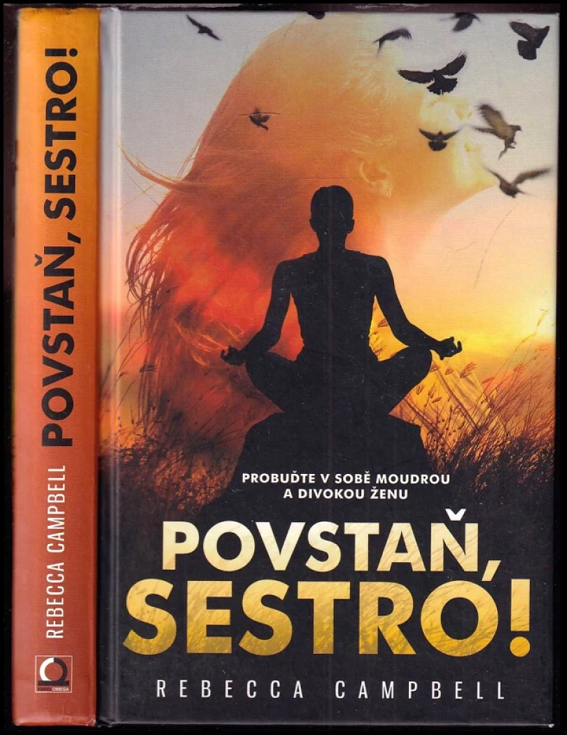 Levně Povstaň, sestro! (Rebecca Campbell, 2017)