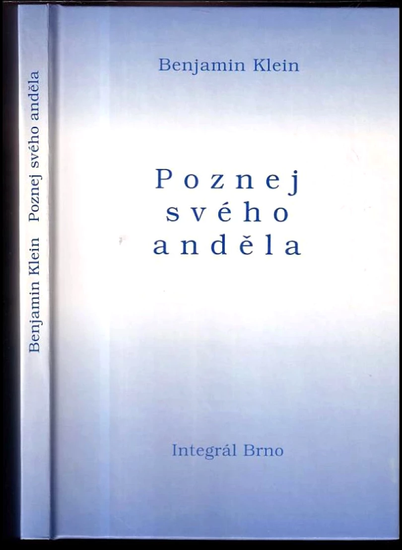 Poznej svého anděla (Benjamin Klein, 2001)