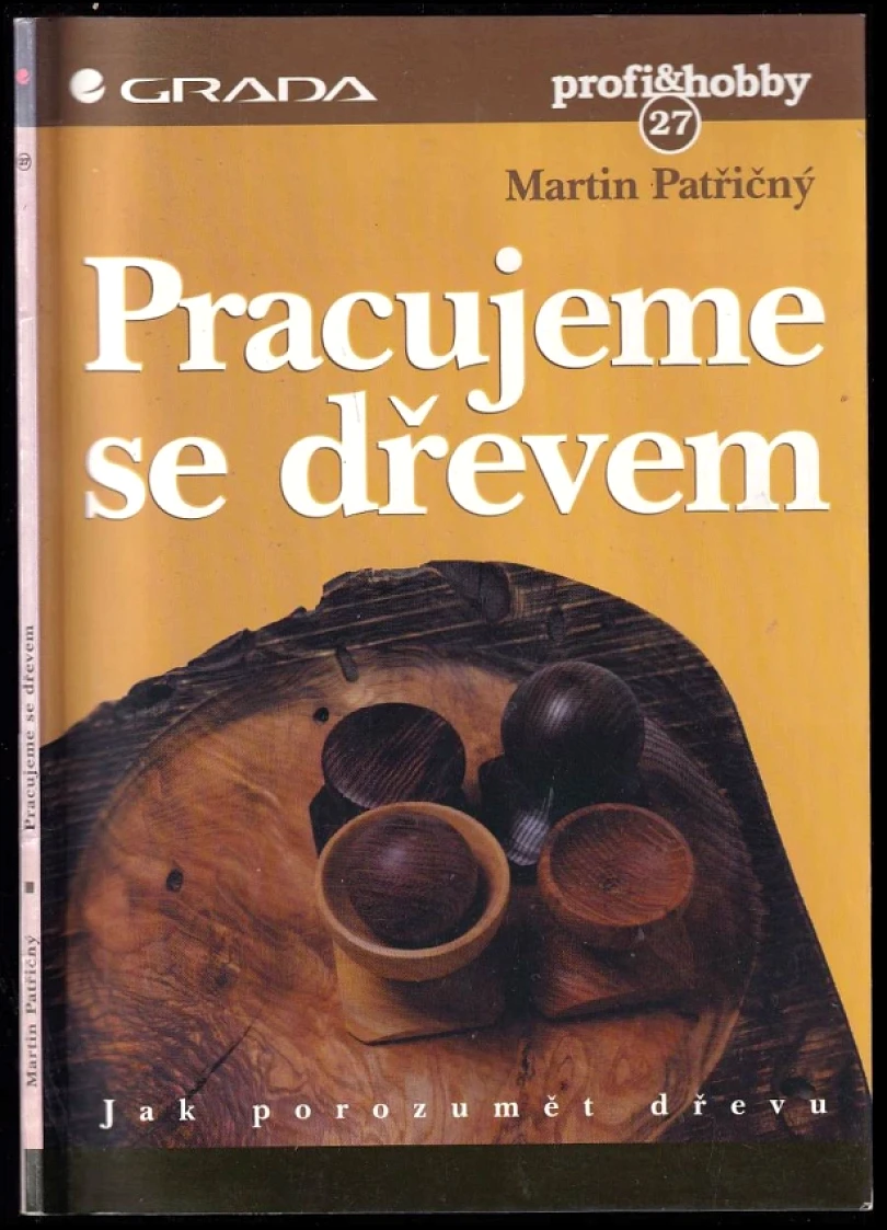 Levně Pracujeme se dřevem (Martin Patřičný, 1998)