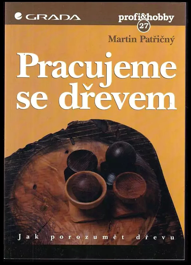 Levně Pracujeme se dřevem (Martin Patřičný, 1999)