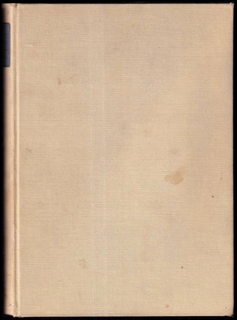 Praha před sto lety (Naděžda Filaretovna Melniková-Papoušková, 1935)