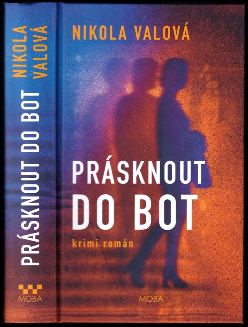 Prásknout do bot (Nikola Valová, 2025)
