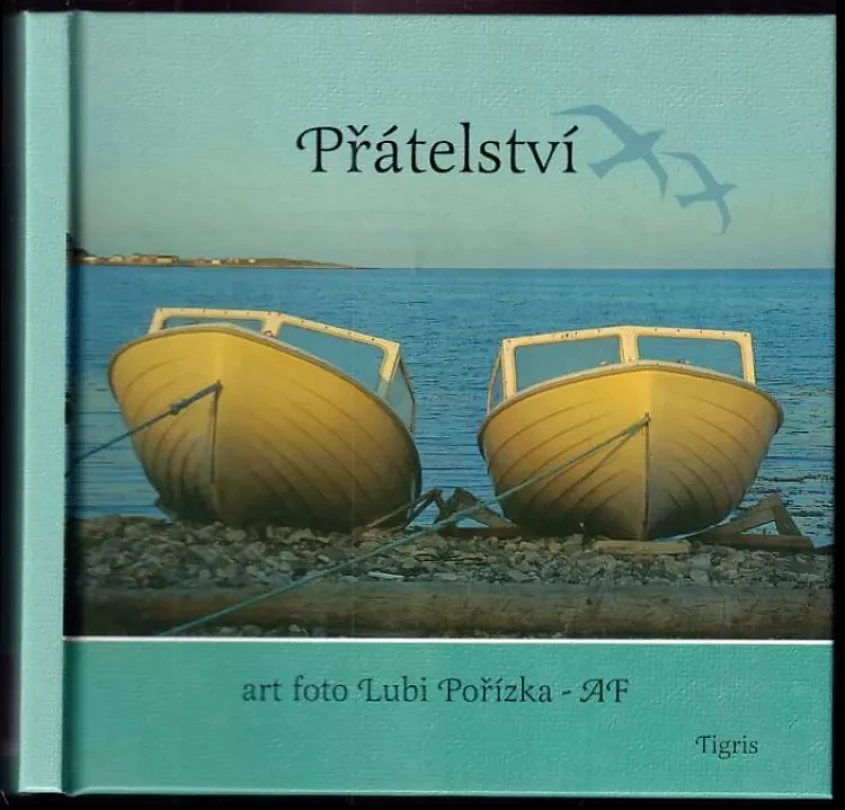 Přátelství (Lubi Pořízka, 2002)