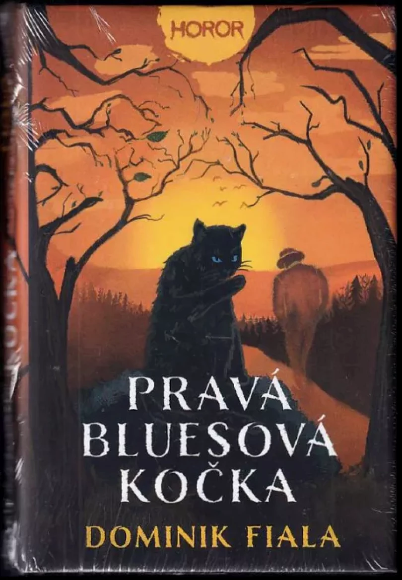 Pravá bluesová kočka (Dominik Rover Fiala, 2022)