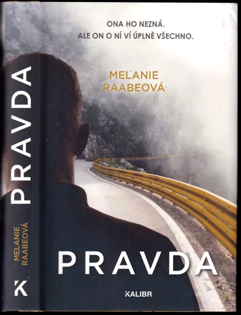 Levně Pravda (Melanie Raabe, 2019)