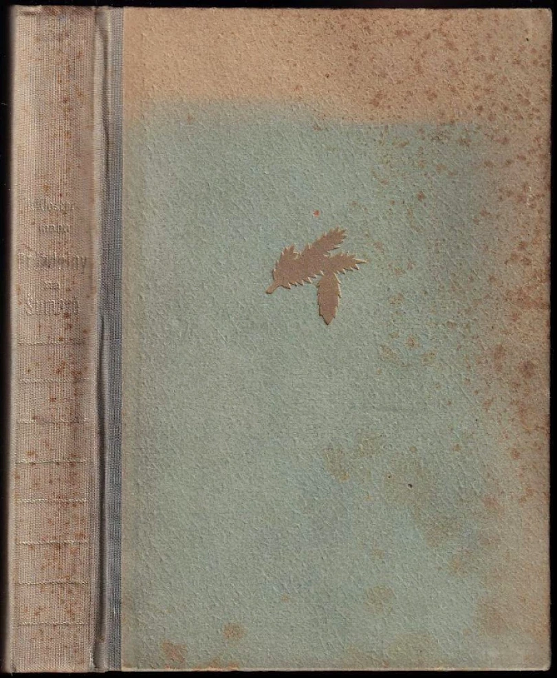 Prázdniny na Šumavě a jiné kresby (Karel Klostermann, 1926)