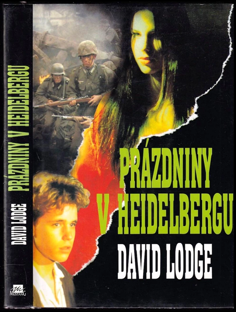 Levně Prázdniny v Heidelbergu (David Lodge, 1996)