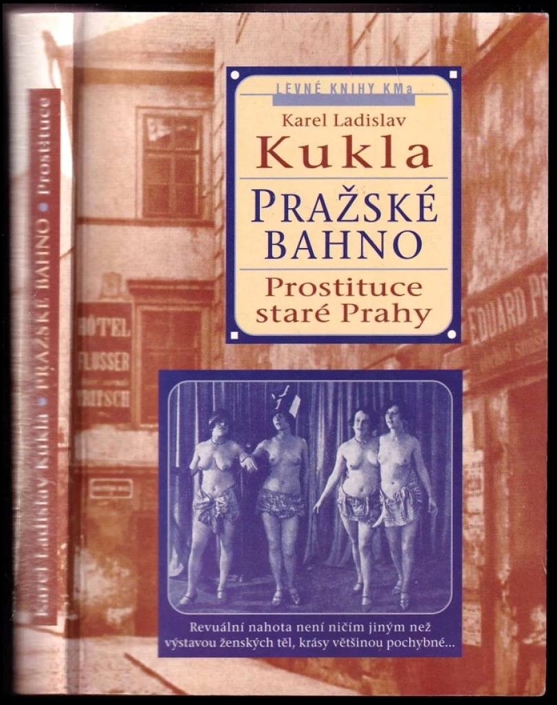 Pražské bahno (Karel Ladislav Kukla, 2001)