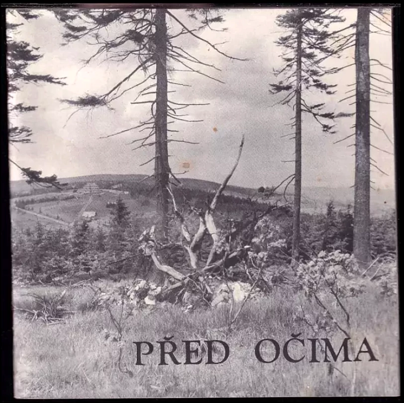 Levně Před očima (Vladimír Brandejs, )