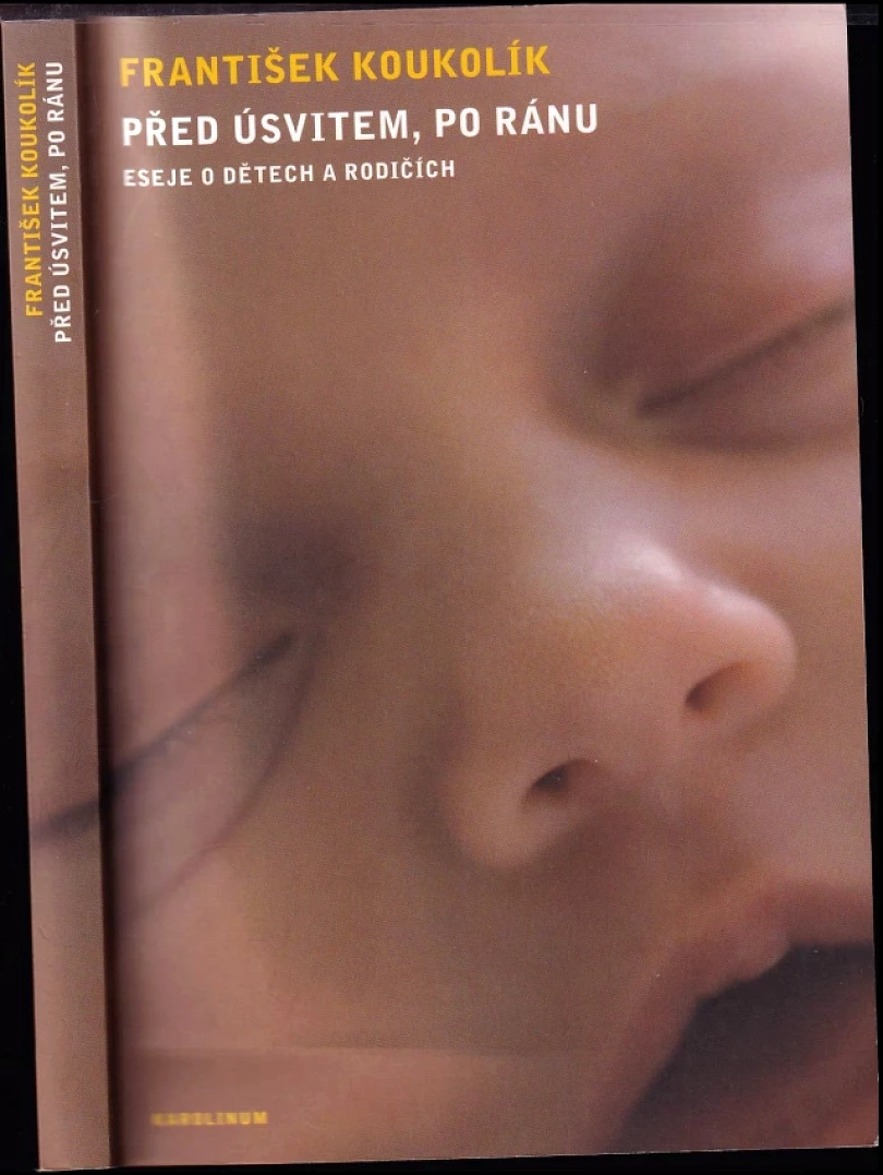Levně Před úsvitem, po ránu (Frantisek Koukolík, 2008)