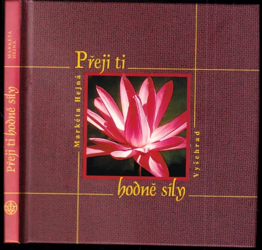 Přeji ti hodně síly (Markéta Hejná, 2002)
