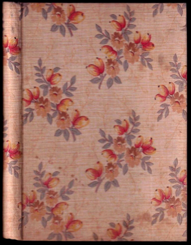 Přes moře a hory (Václav Deyl, 1945)