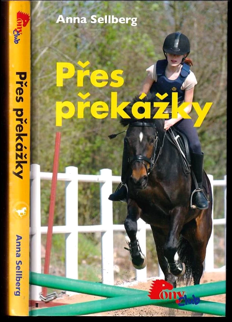 Přes překážky (Anna Sellberg, 2007)