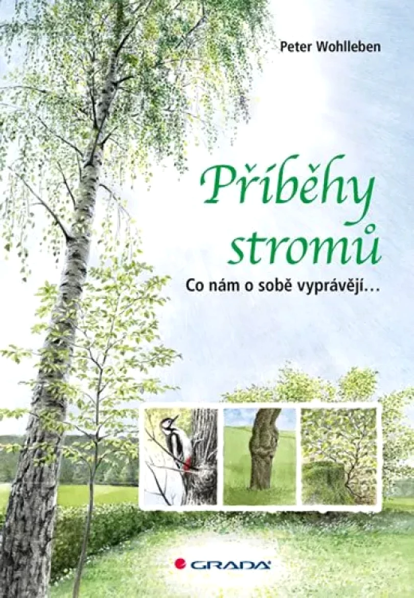 Levně Příběhy stromů (Peter Wohlleben, 2017)