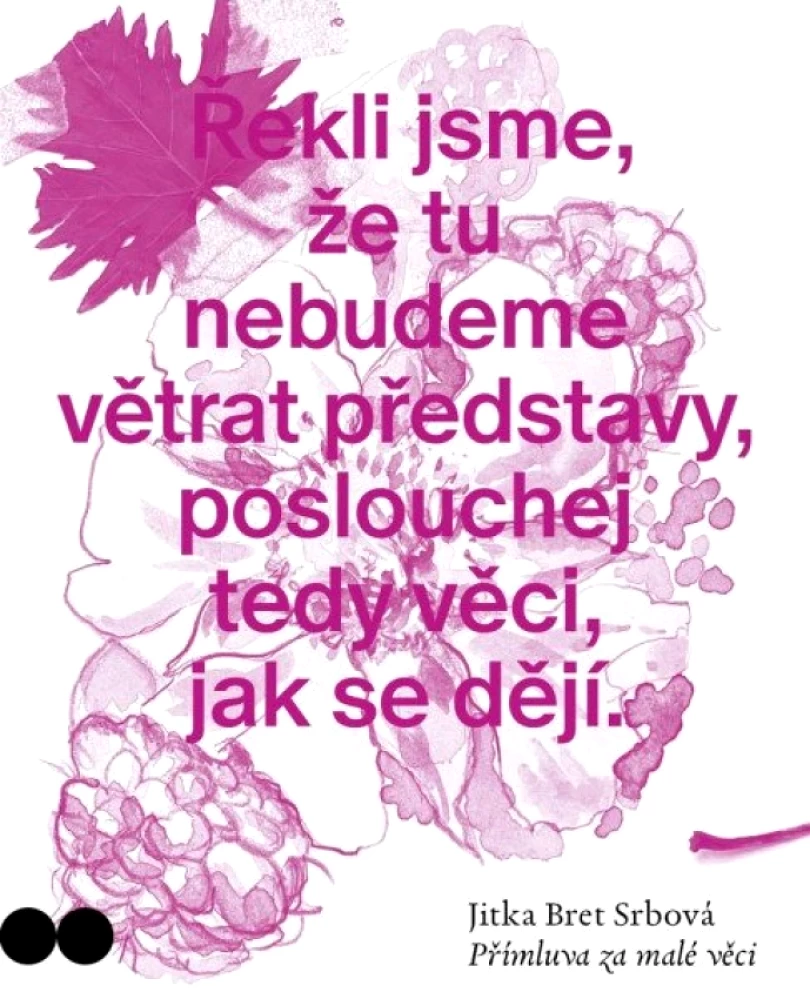 Levně Přímluva za malé věci (Jitka N. Srbová, 2025)