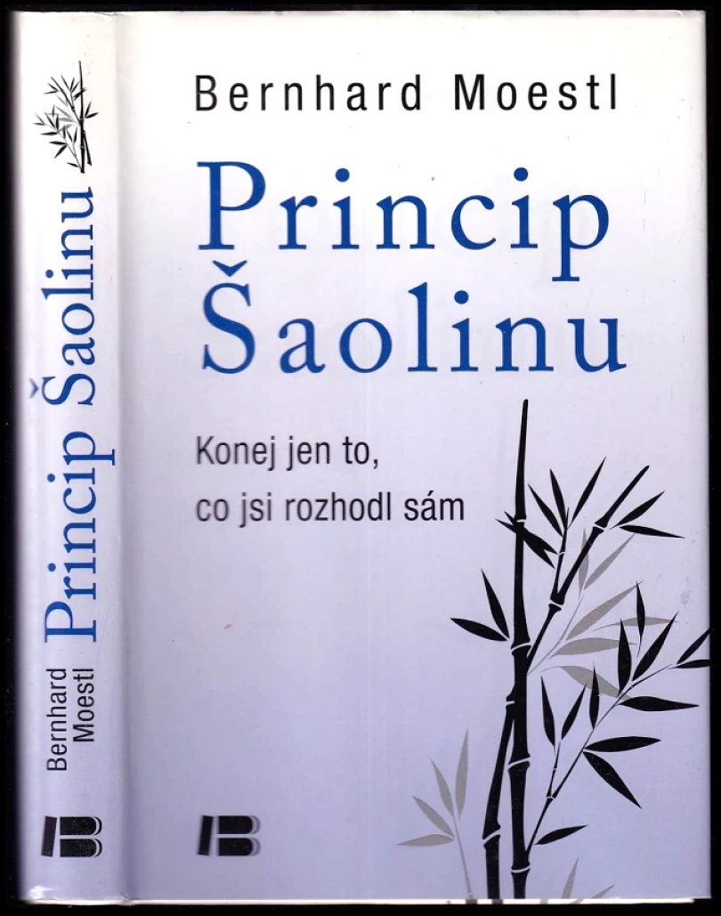 Levně Princip Šaolinu (Bernhard Moestl, 2013)