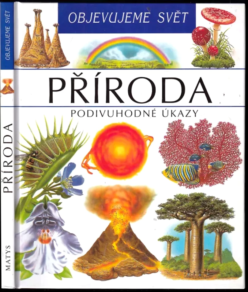 Příroda (Christine Lazier, 2001)