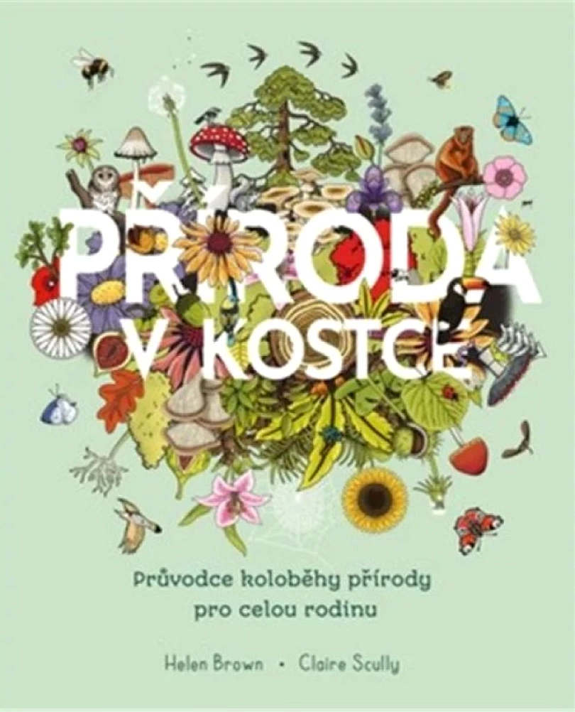Příroda v kostce (Helen Brown, 2025)