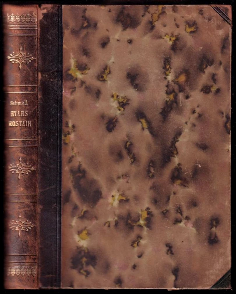 Přírodopis rostlinstva pro vyšší ústavy, učitelstvo a přátele přírody (Otto Schmeil, 1908)