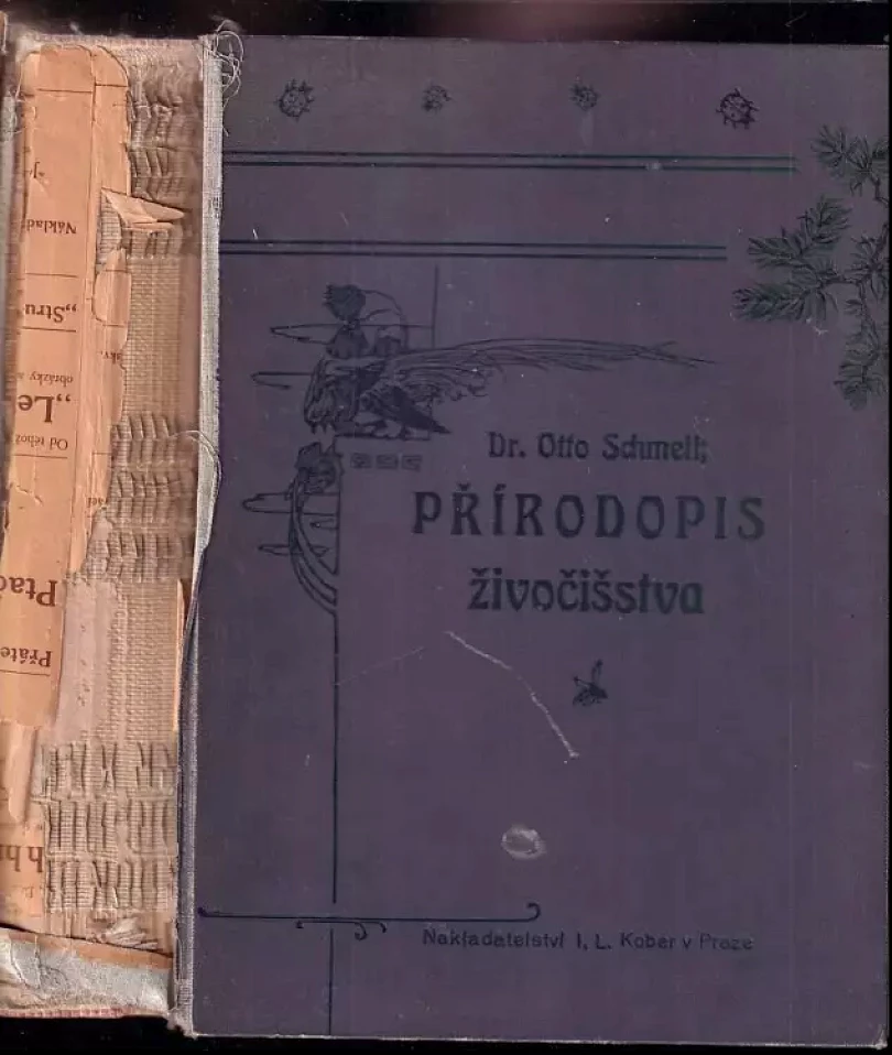 Přírodopis živočišstva pro vyšší ústavy, učitelstvo a přátele přírody vůbec (Otto Schmeil, 1906)