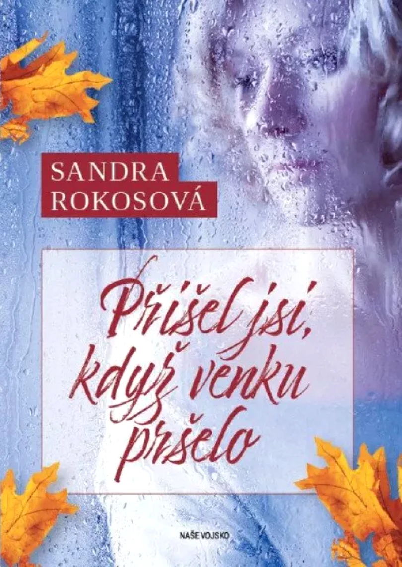 Přišel jsi, když venku pršelo (Sandra Rokosová, 2021)