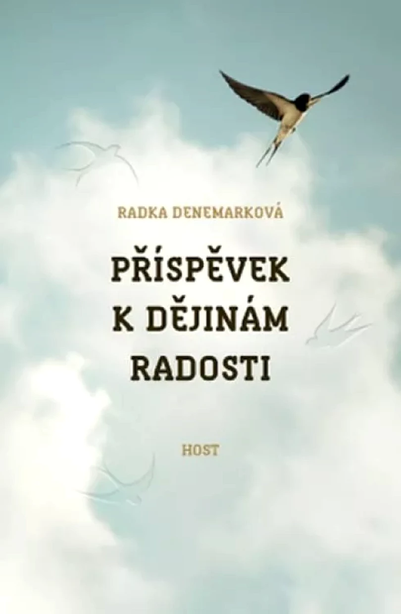 Příspěvek k dějinám radosti (Radka Denemarková, 2014)