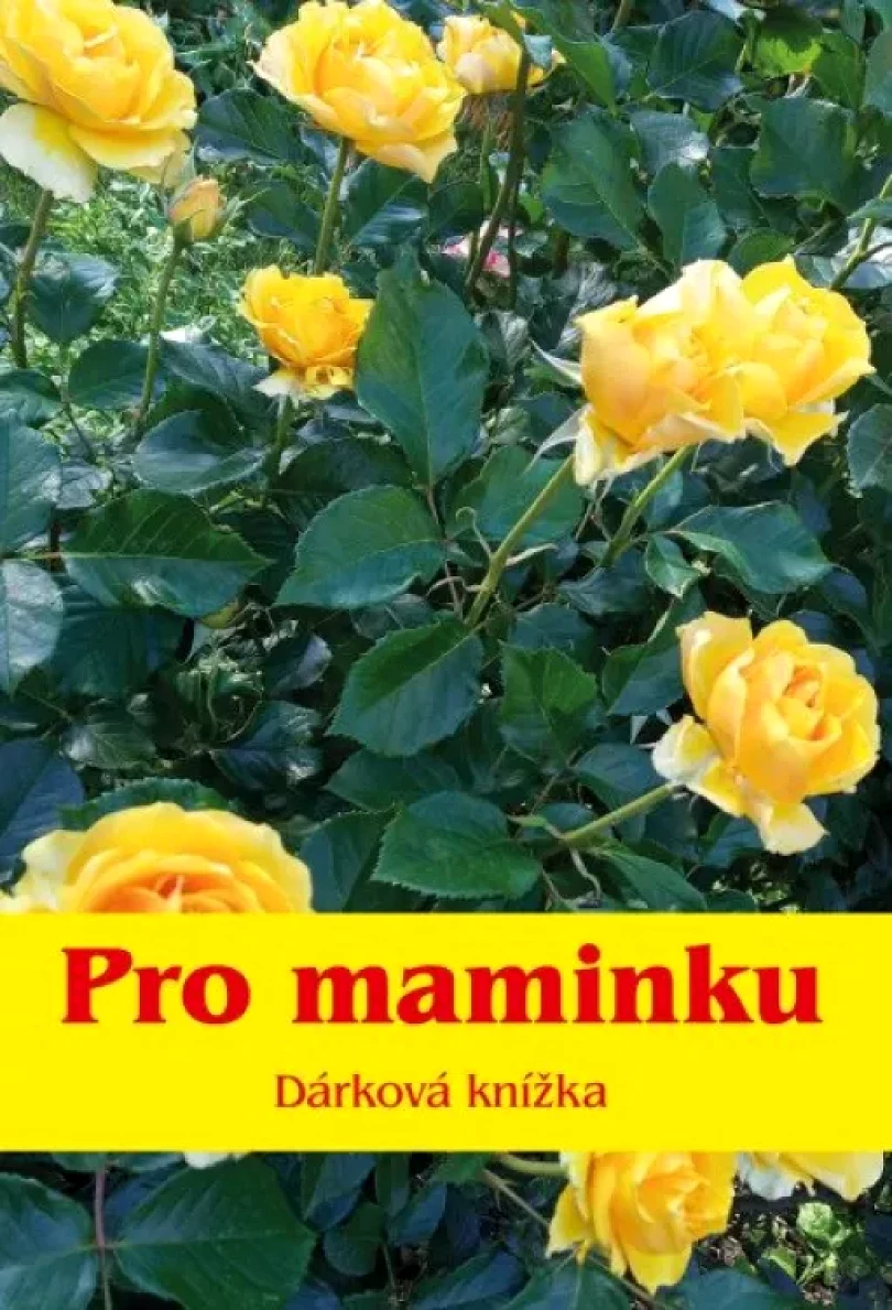 Pro maminku (, 2023)
