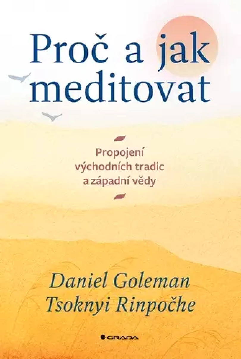 Levně Proč a jak meditovat (Daniel Goleman, 2023)