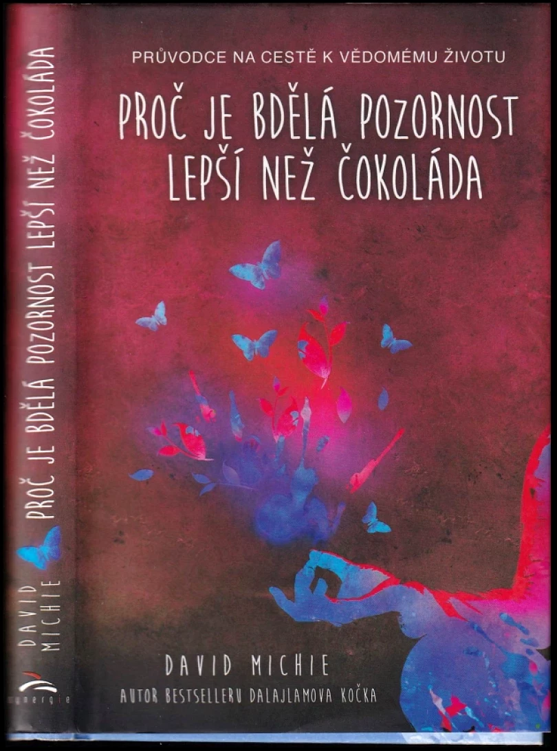 Levně Proč je bdělá pozornost lepší než čokoláda (David Michie, 2016)
