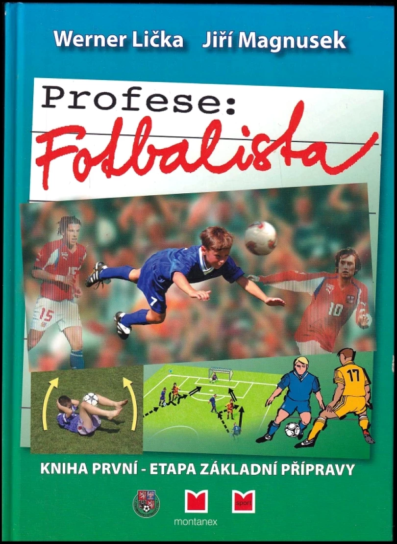 Profese: fotbalista (Verner Lička, 2006)