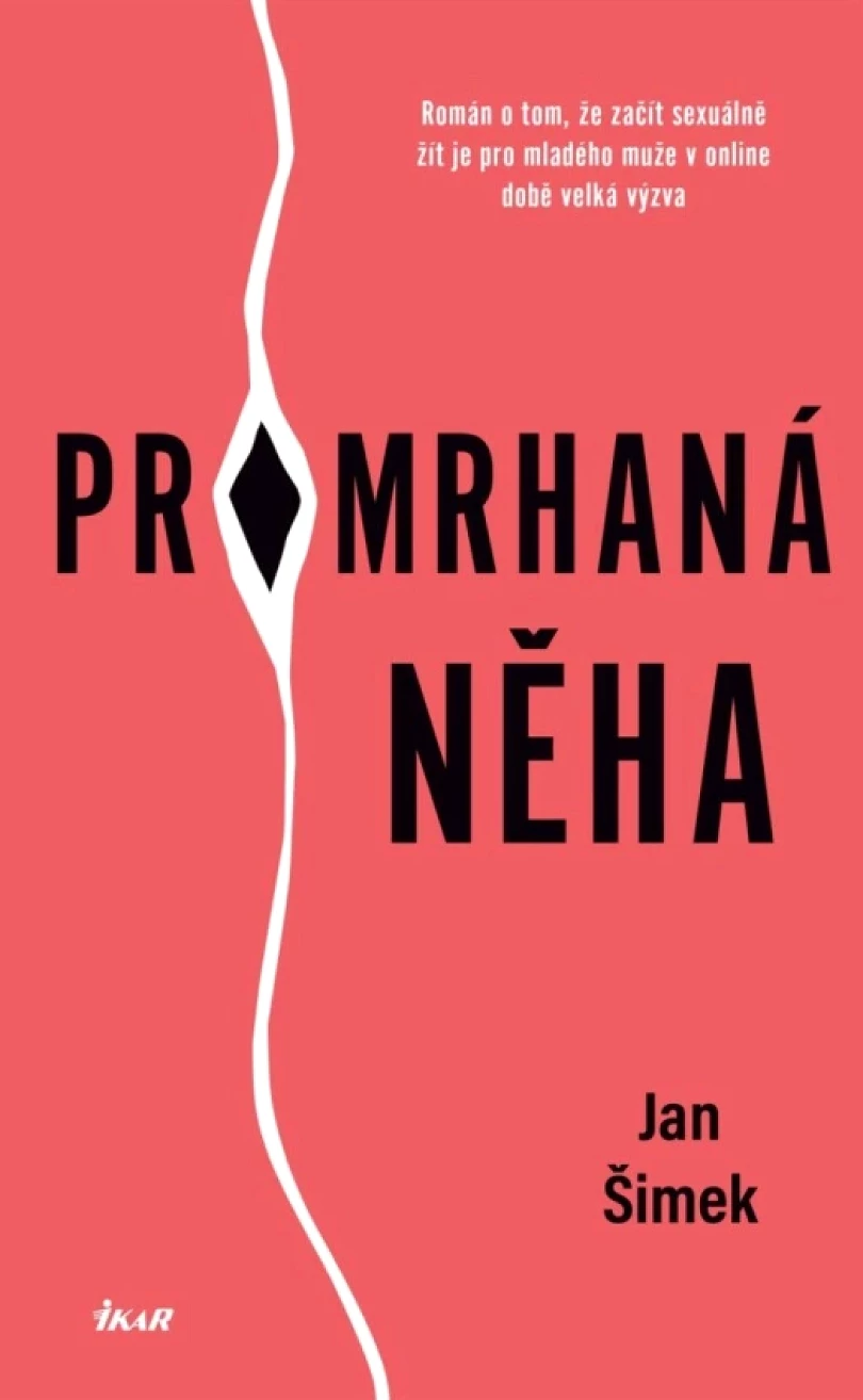 Levně Promrhaná něha (Jan Šimek, 2024)