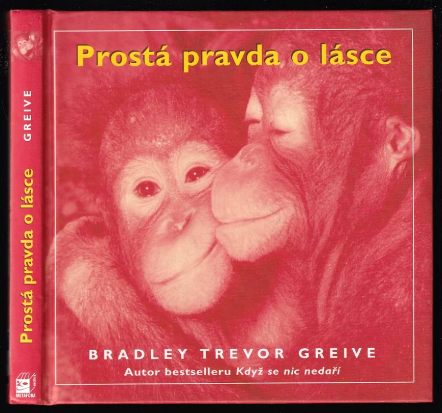 Levně Prostá pravda o lásce (Bradley Trevor Greive, 2007)