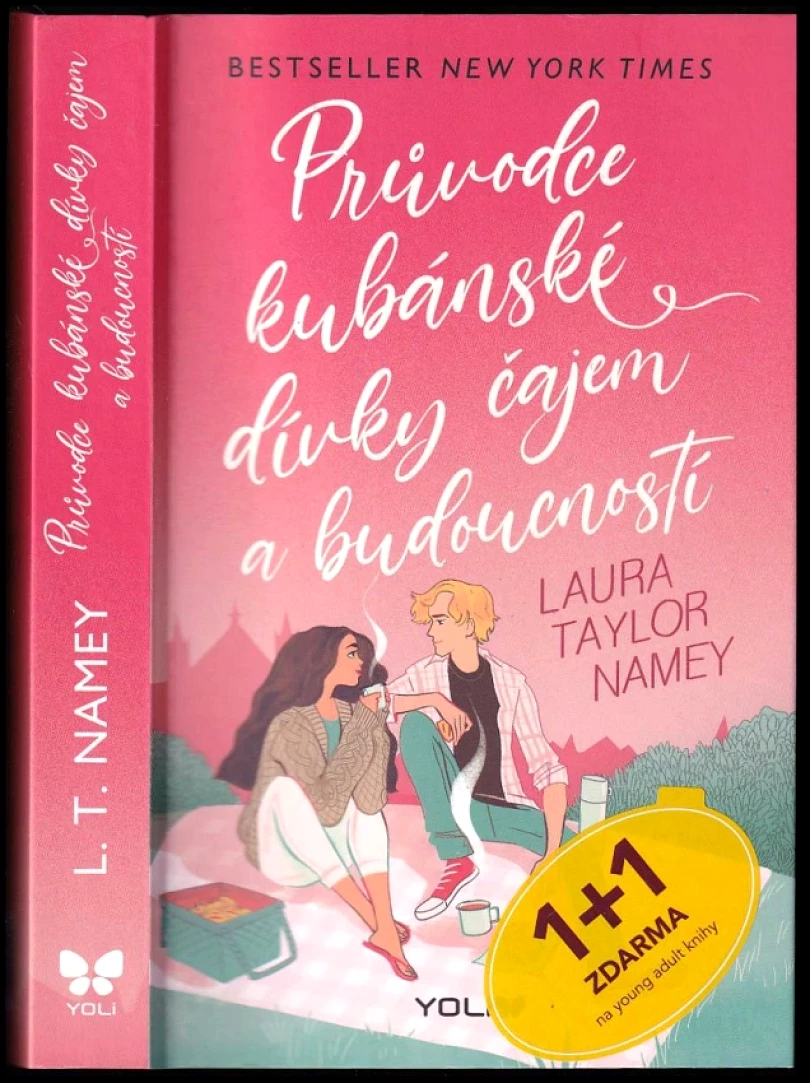 Levně Průvodce kubánské dívky čajem a budoucností (Laura Taylor Namey, 2023)