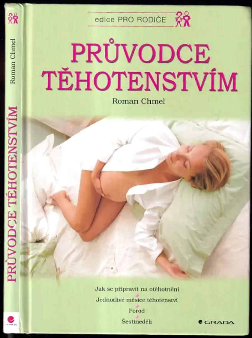 Levně Průvodce těhotenstvím (Roman Chmel, 2004)